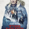 Ψυχρή καταδίωξη (Cold Pursuit)