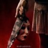 ΚΛΕΙΔΩΣΕΣ; ΟΙ ΑΓΝΩΣΤΟΙ 2 (THE STRANGERS CH. 2)